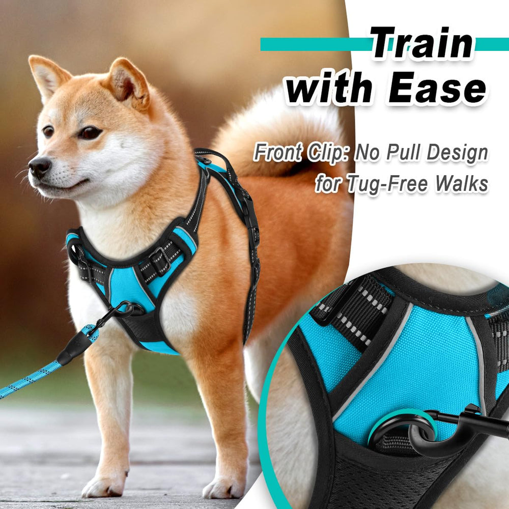 Arnés BarkBay ajustable para todo tamaño, cómodo en caminatas diarias