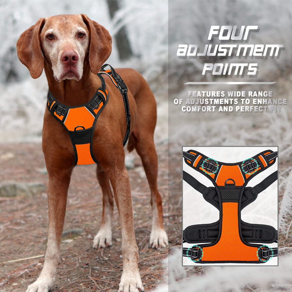 BARKBAY arnés asa superior para control adicional.