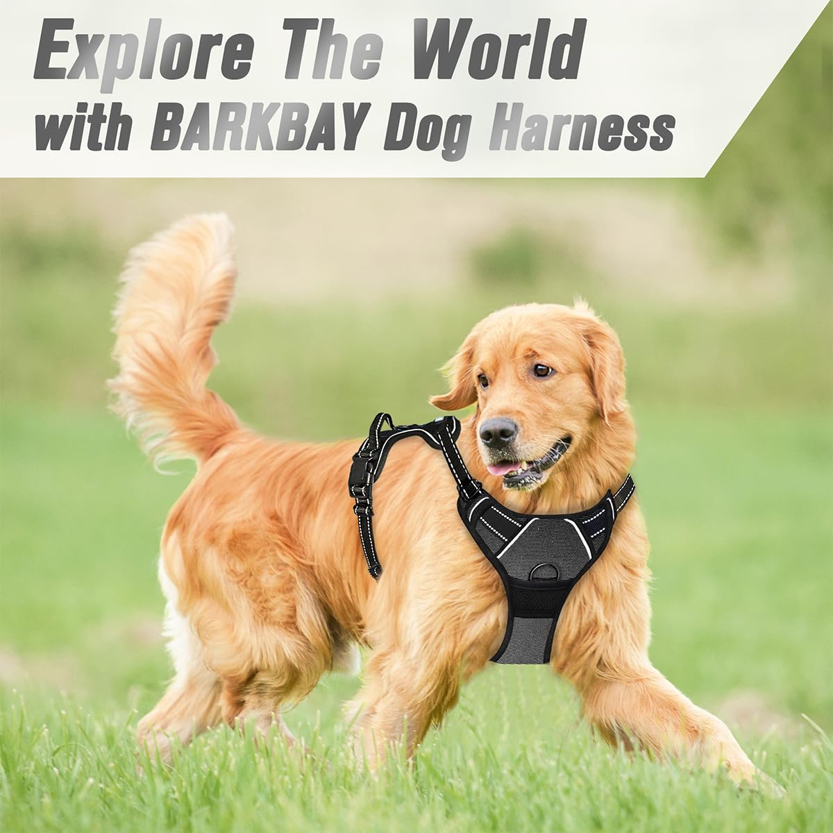 BARKBAY clip frontal y asa para mayor control en perros grandes