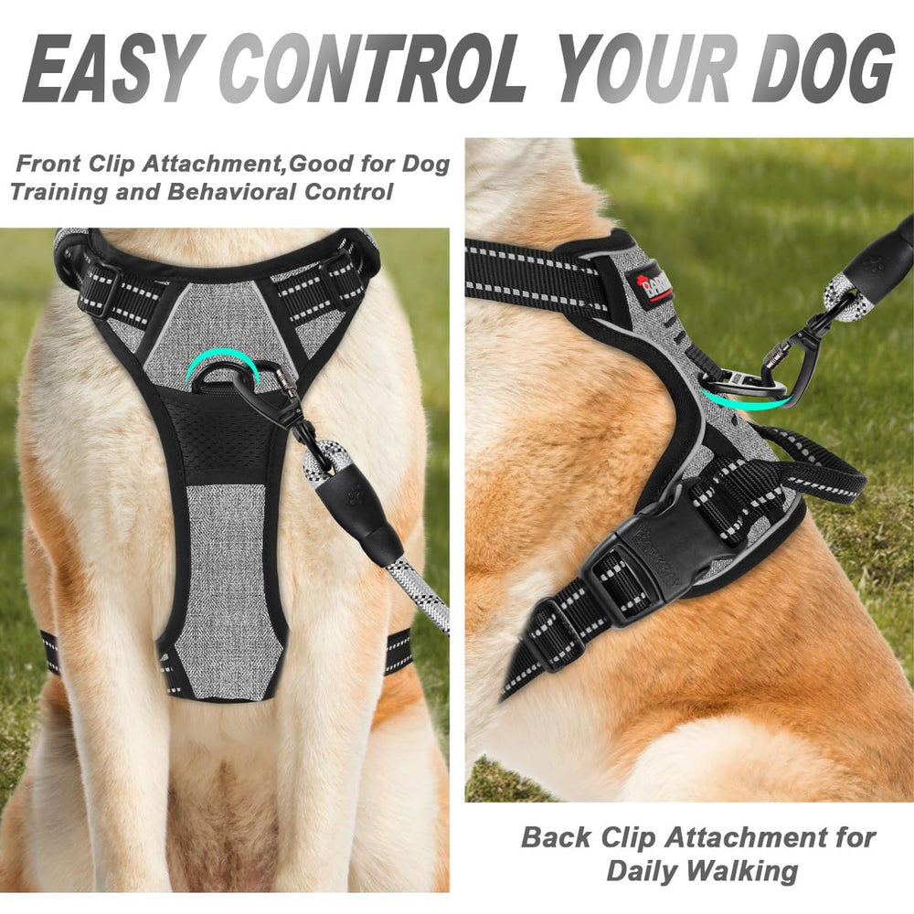 BARKBAY asa superior para mayor control durante paseos y entrenamiento