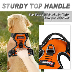 BARKBAY arnés con enganche espalda para paseos tranquilos.