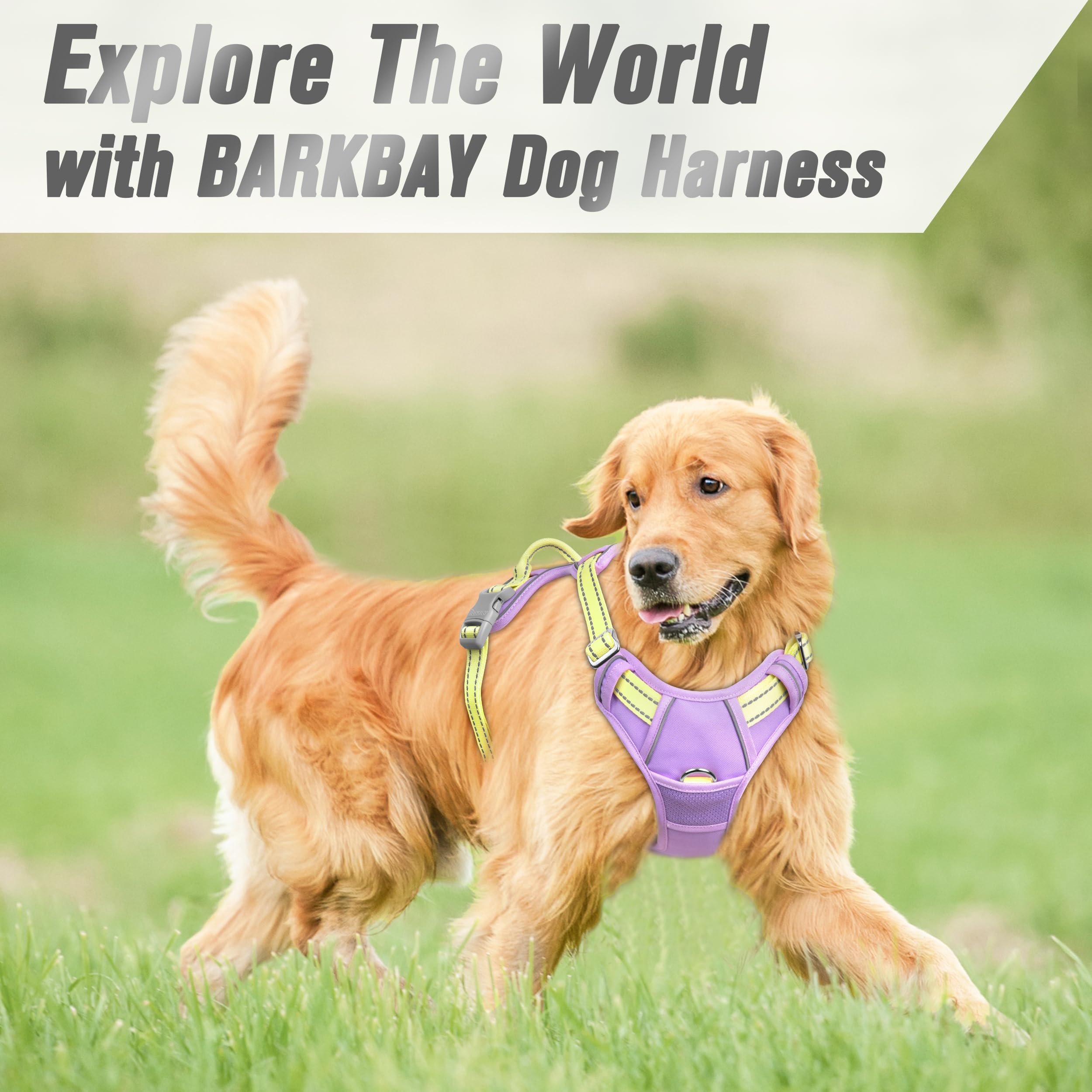 BARKBAY arnés para perro grande, ideal para caminatas seguras.