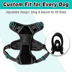 arnés BarkBay ideal para paseos y senderismo con perros pequeños.