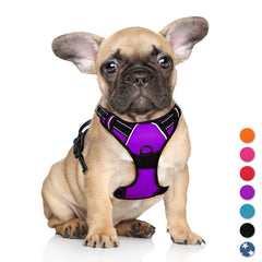 BARKBAY arnés no tiro con clip frontal morado para paseos seguros