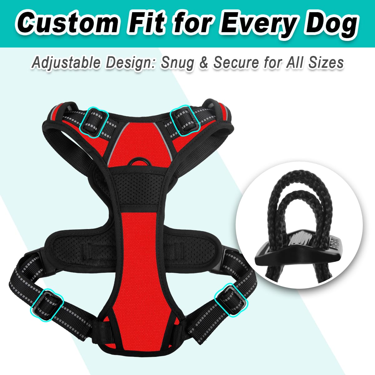 Uso en paseos y entrenamiento con control suave BarkBay.