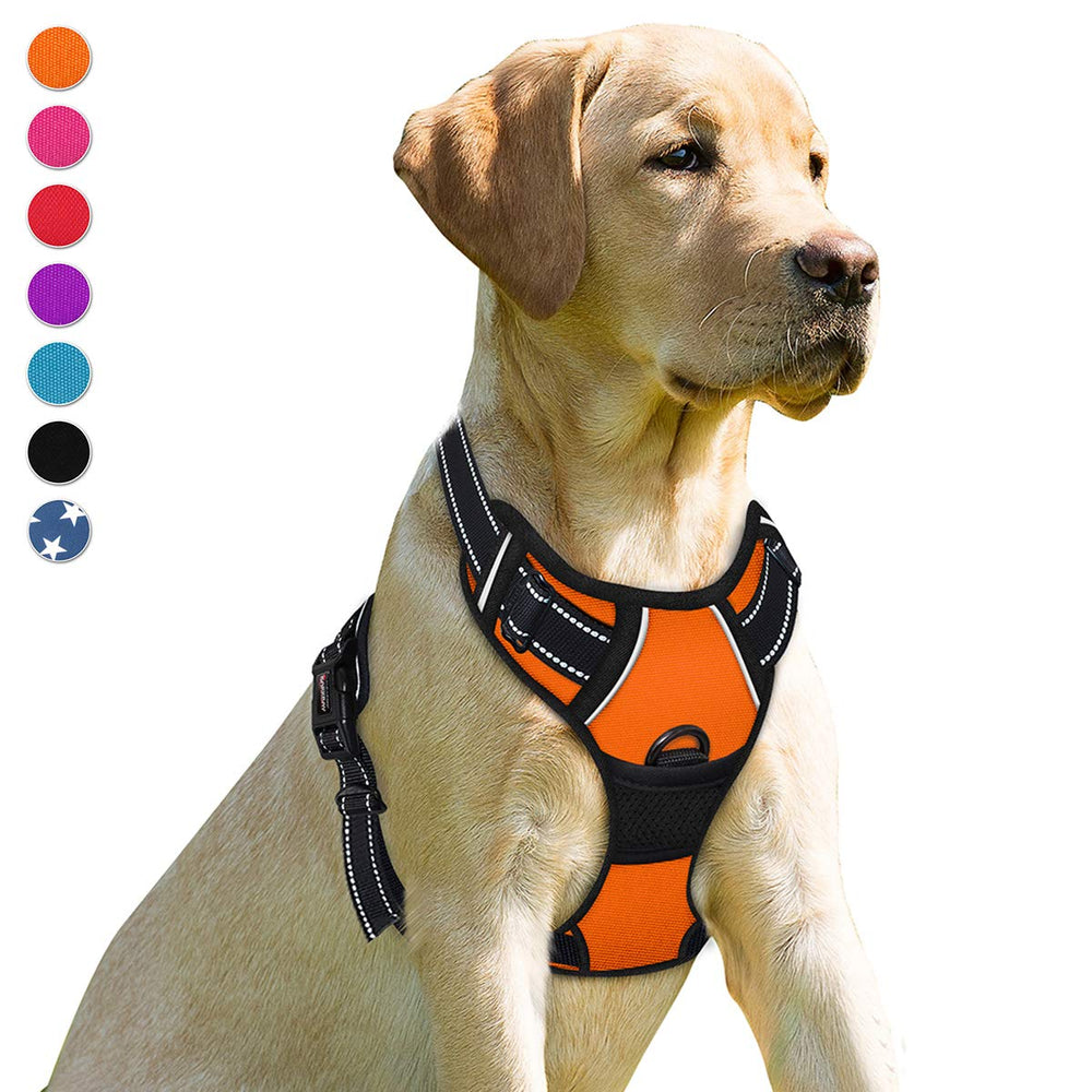 BARKBAY arnés perro clip frontal para mayor control durante paseos.