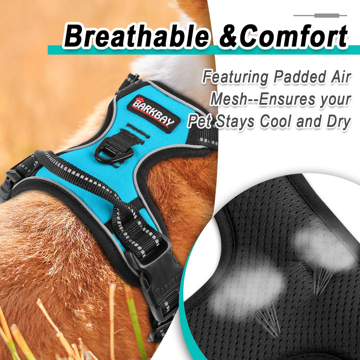 Arnés BarkBay de uso exterior, ideal para caminatas largas