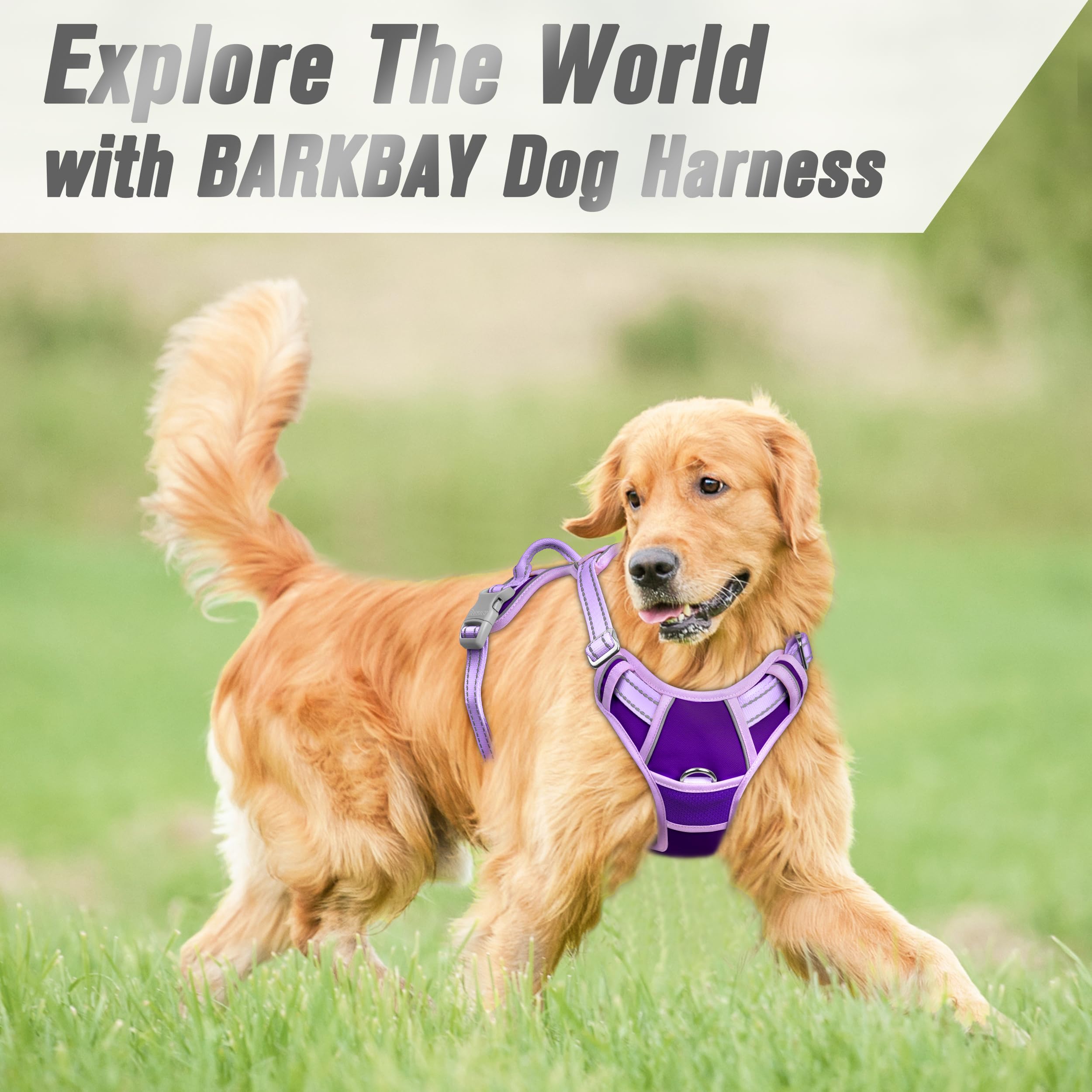 Arnés BarkBay ideal para uso nocturno gracias a su reflectividad.