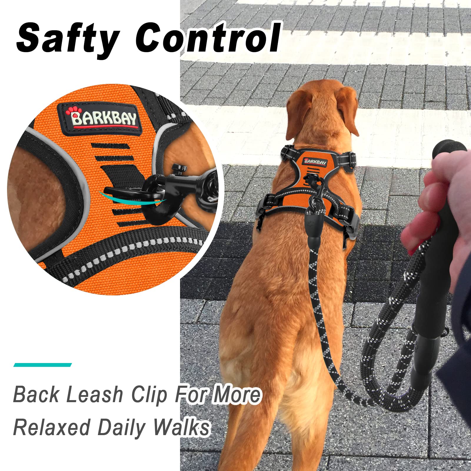 Arnés BarkBay para paseos con control mejorado y entrenamiento.