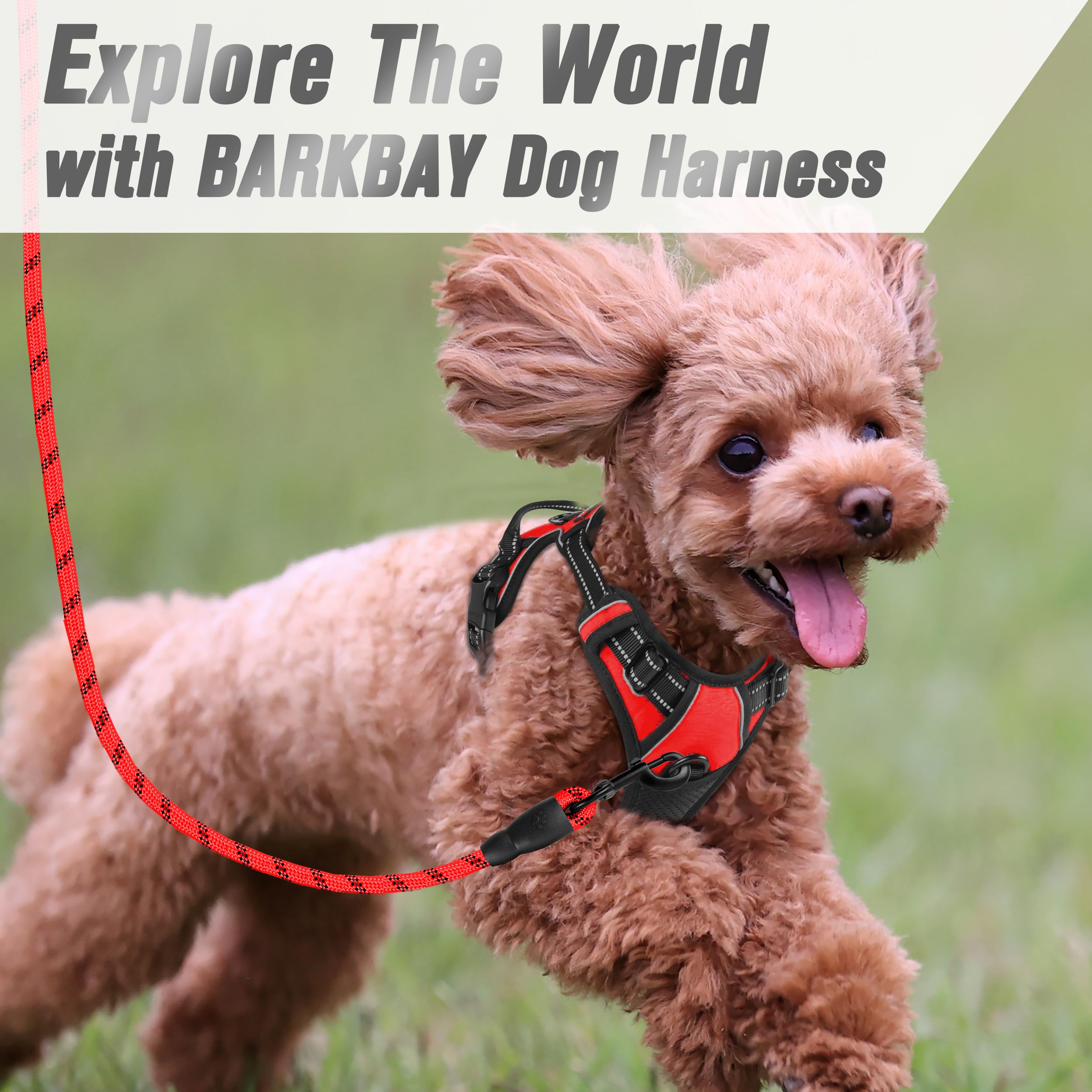 Arnés Barkbay colocación rápida para ponérselo y quitarlo fácilmente.