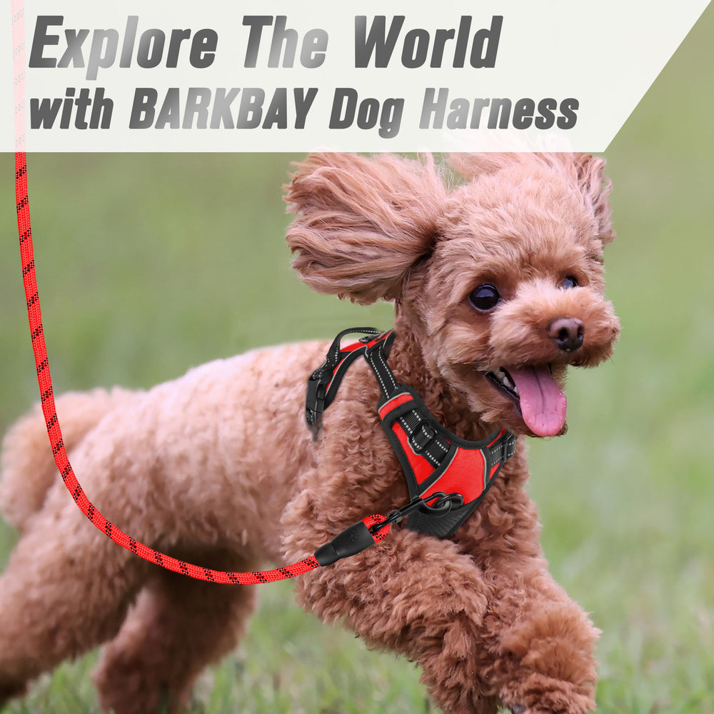 Arnés Barkbay colocación rápida para ponérselo y quitarlo fácilmente.