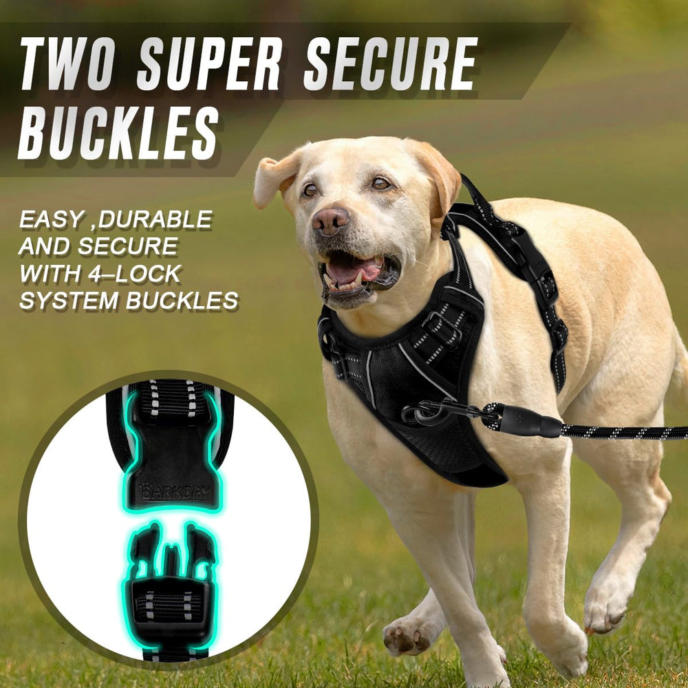 BARKBAY arnés con sujeción en el pecho para mayor control