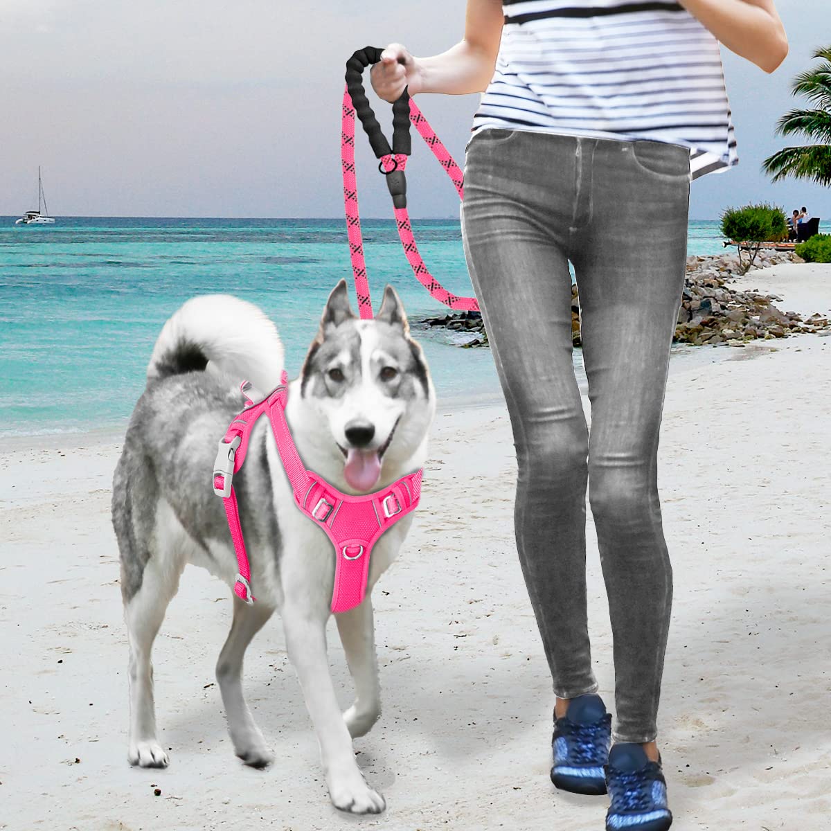 Arnés Barkbay rosa para perros grandes, talla L.