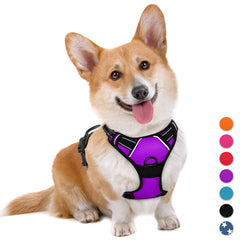 Arnés sin tirar BARKBAY en perro morado, ideal para paseos diarios.