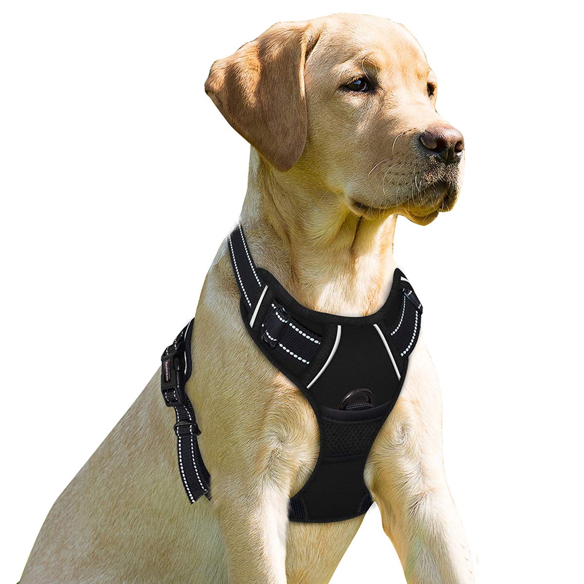 BARKBAY arnés sin tirón con clip frontal para control cómodo