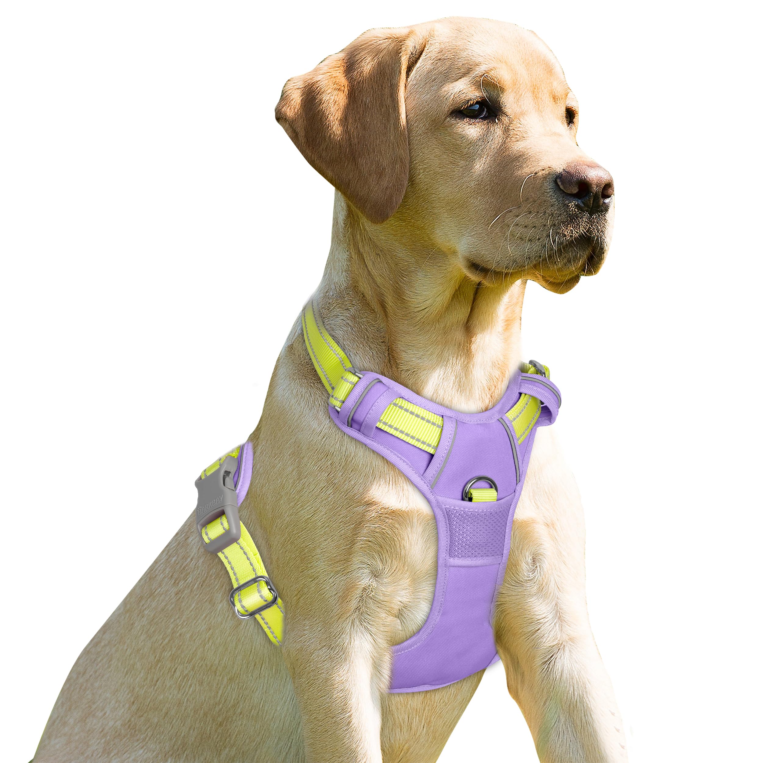 Arnés BARKBAY sin-tiro con enganche frontal para control suave durante paseos.