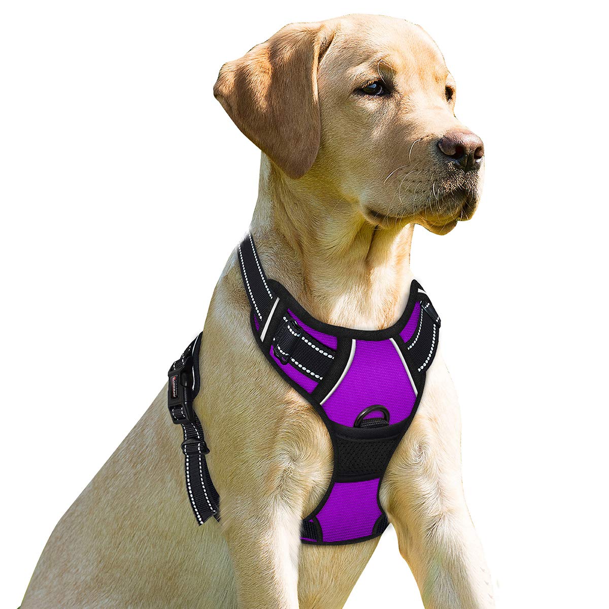 BARKBAY arnés sin tirones, vista general para paseos confortables