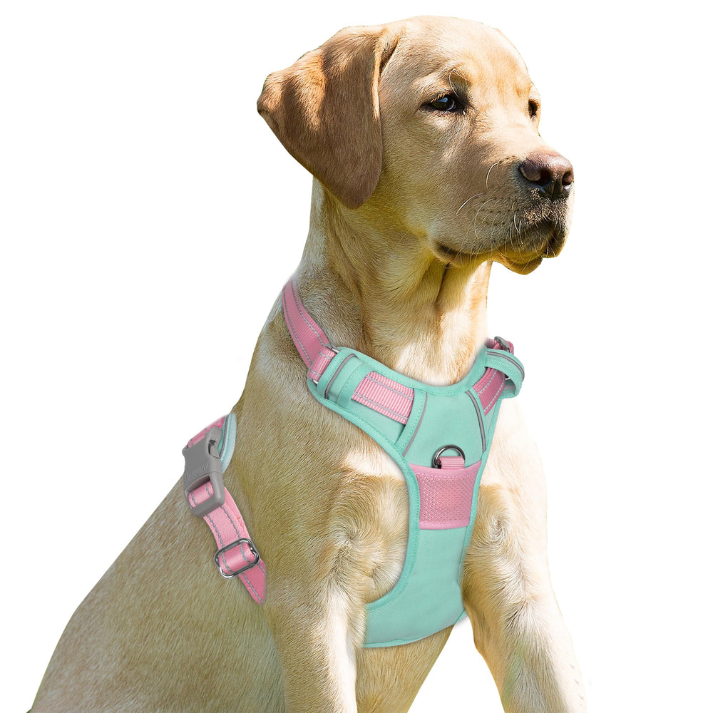 Arnés Barkbay con clip frontal para control suave durante paseos diarios.
