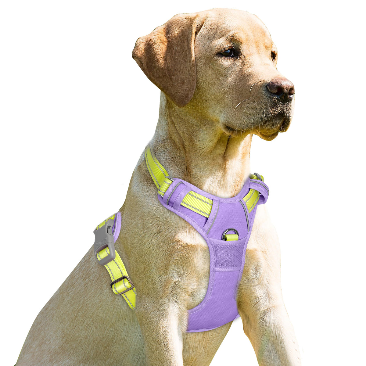 BARKBAY arnés sin tirones con enganche frontal para perros grandes, cómodo.