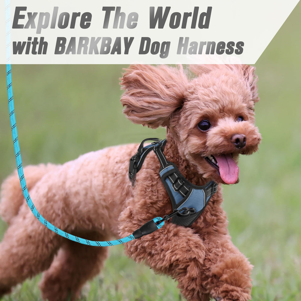 Diseño cómodo para caminatas diarias de perros grandes.