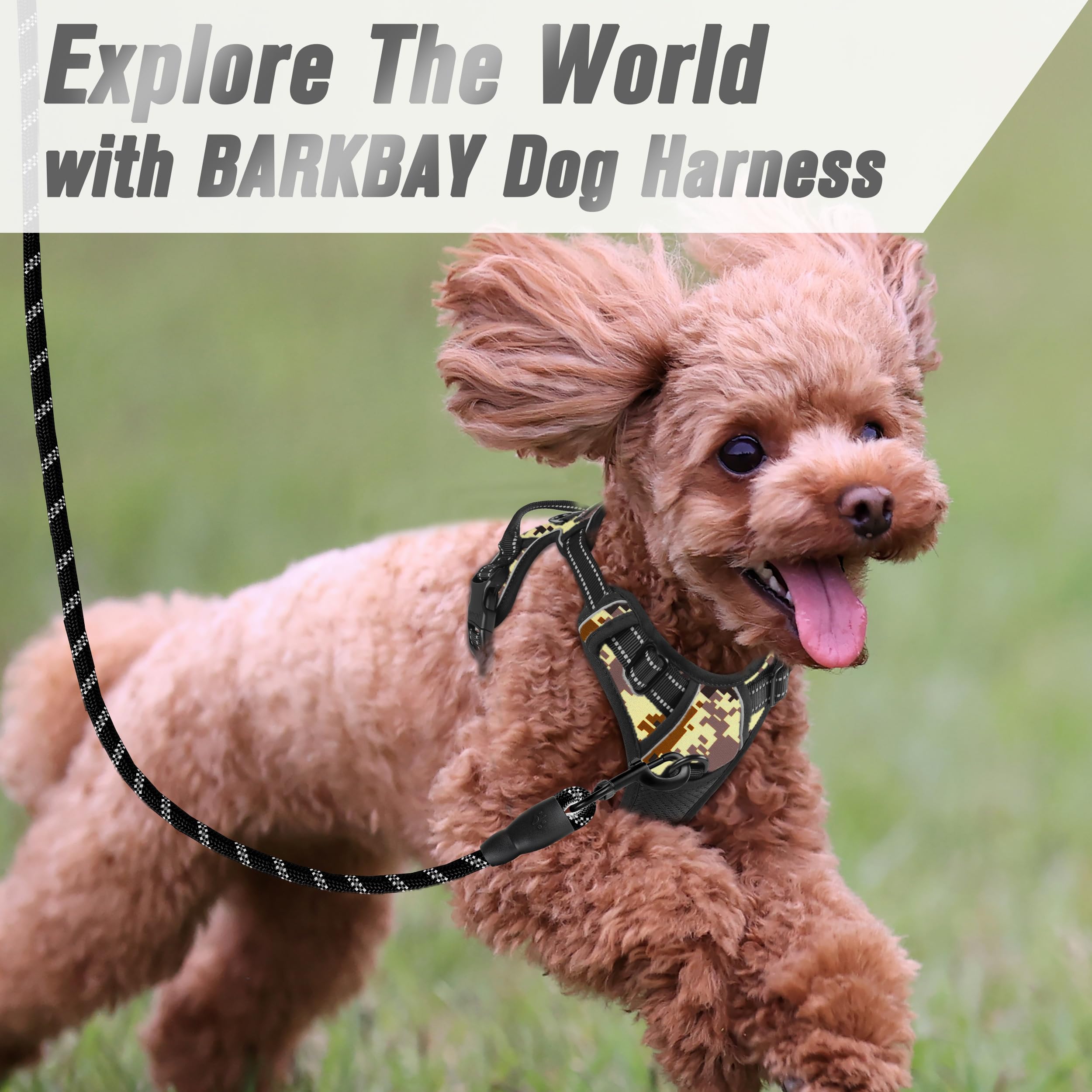 Uso nocturno del arnés BarkBay con visibilidad mejorada