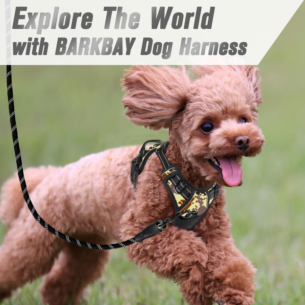 Uso nocturno del arnés BarkBay con visibilidad mejorada
