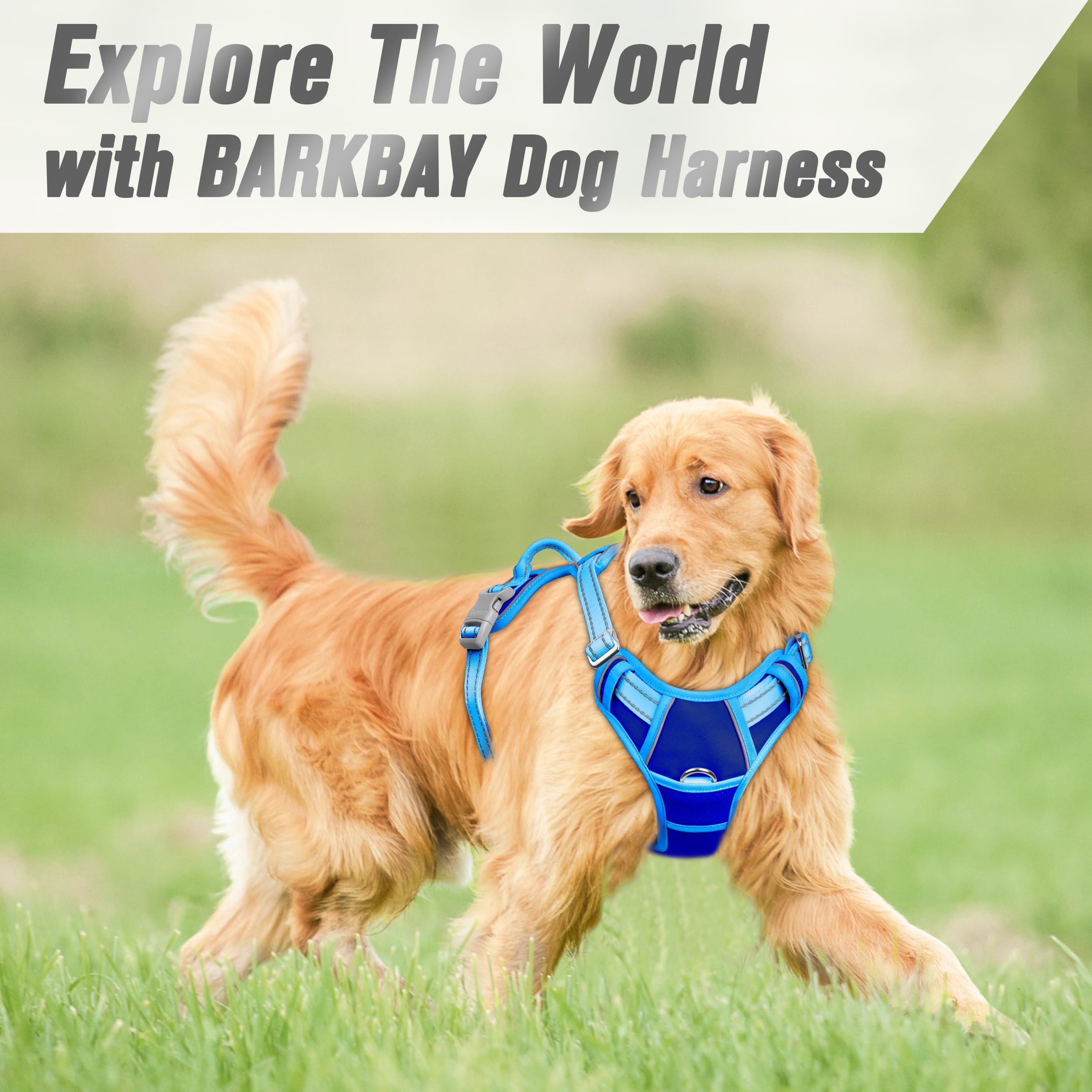 BARKBAY arnés con visibilidad nocturna para paseos al anochecer.