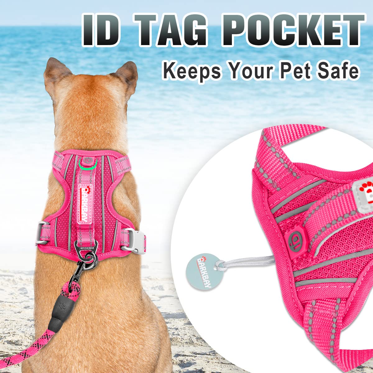 Asa de control fácil Barkbay para ajustar y guiar durante paseos.