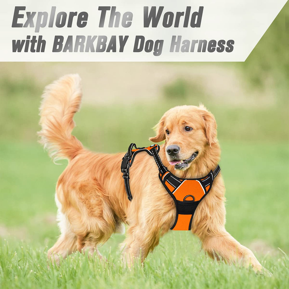 BARKBAY caminata perro grande naranja lista para paseo.