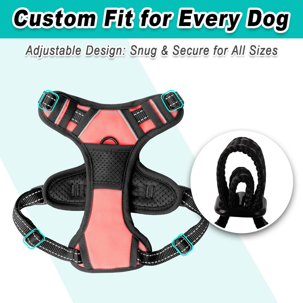 Confort transpirable BarkBAY para paseos largos y jornadas al aire libre.