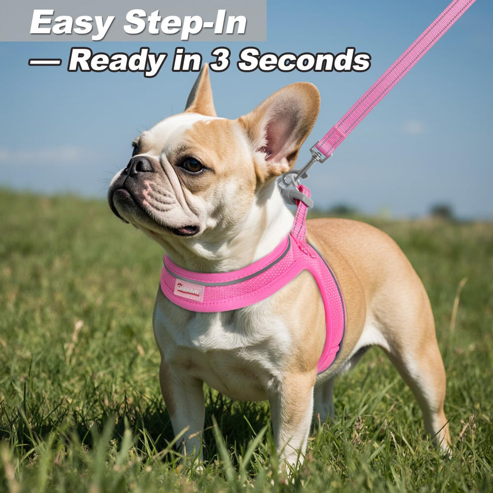 Conjunto rosa BARKBAY para perros pequeños y medianos, estilo práctico y cómodo.