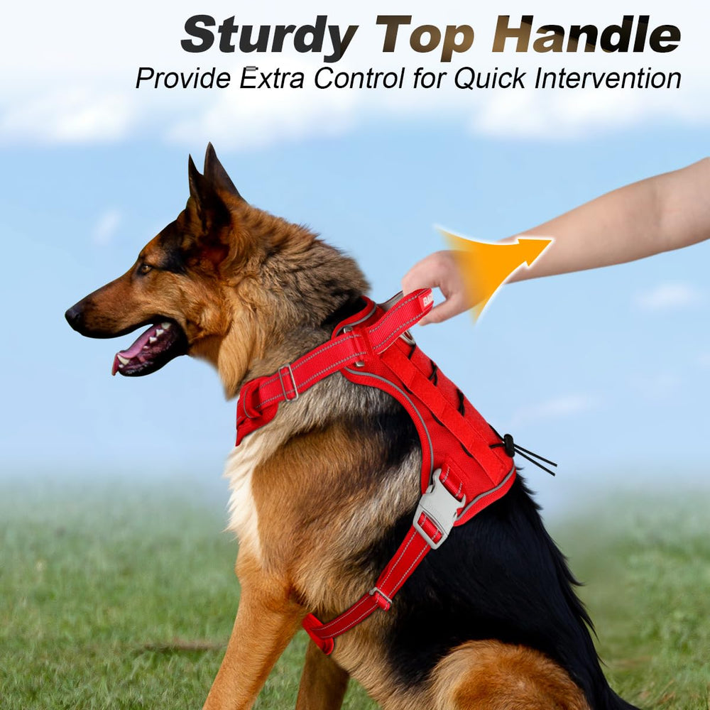 BARKBAY correas ajustables con sistema MOLLE para accesorios.