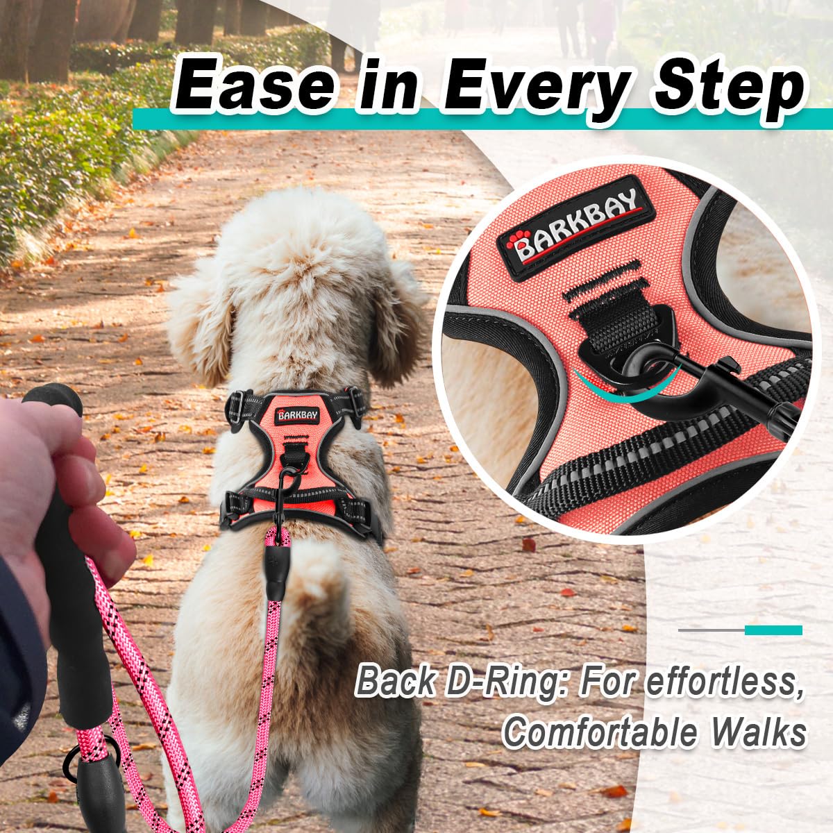 Correas reflejantes BarkBAY mejoran la visibilidad en caminatas nocturnas.
