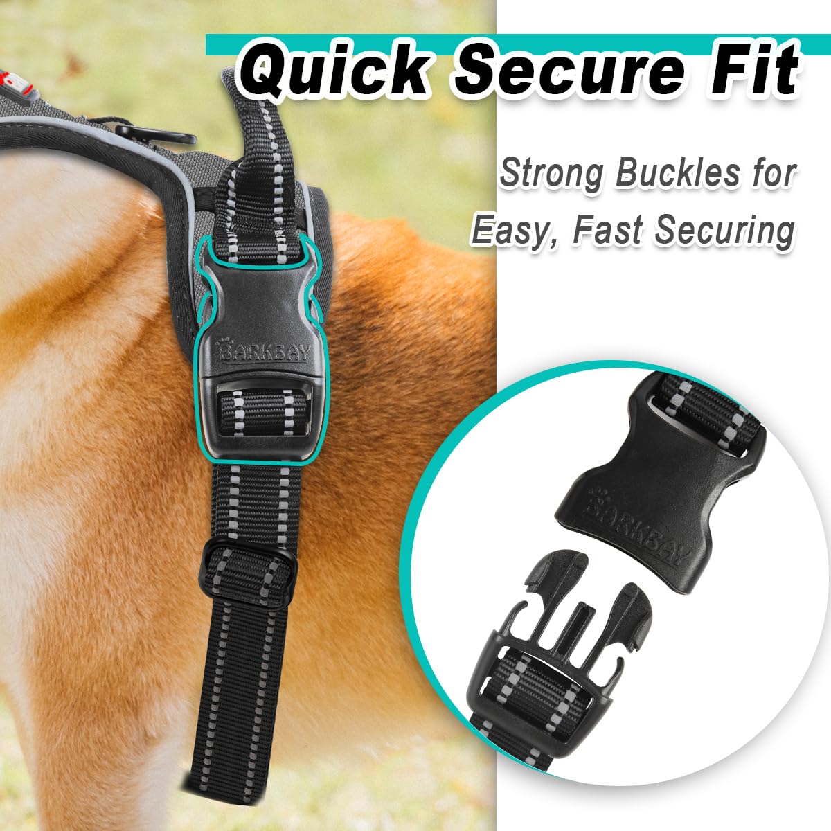 BARKBAY arnés de diseño compacto para paseos diarios y caminatas ligeras.