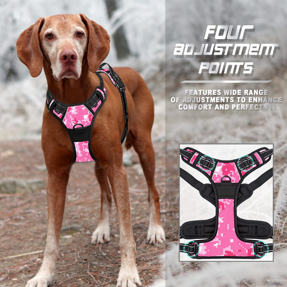 Diseño ligero y acolchado anti rozadura de BarkBay