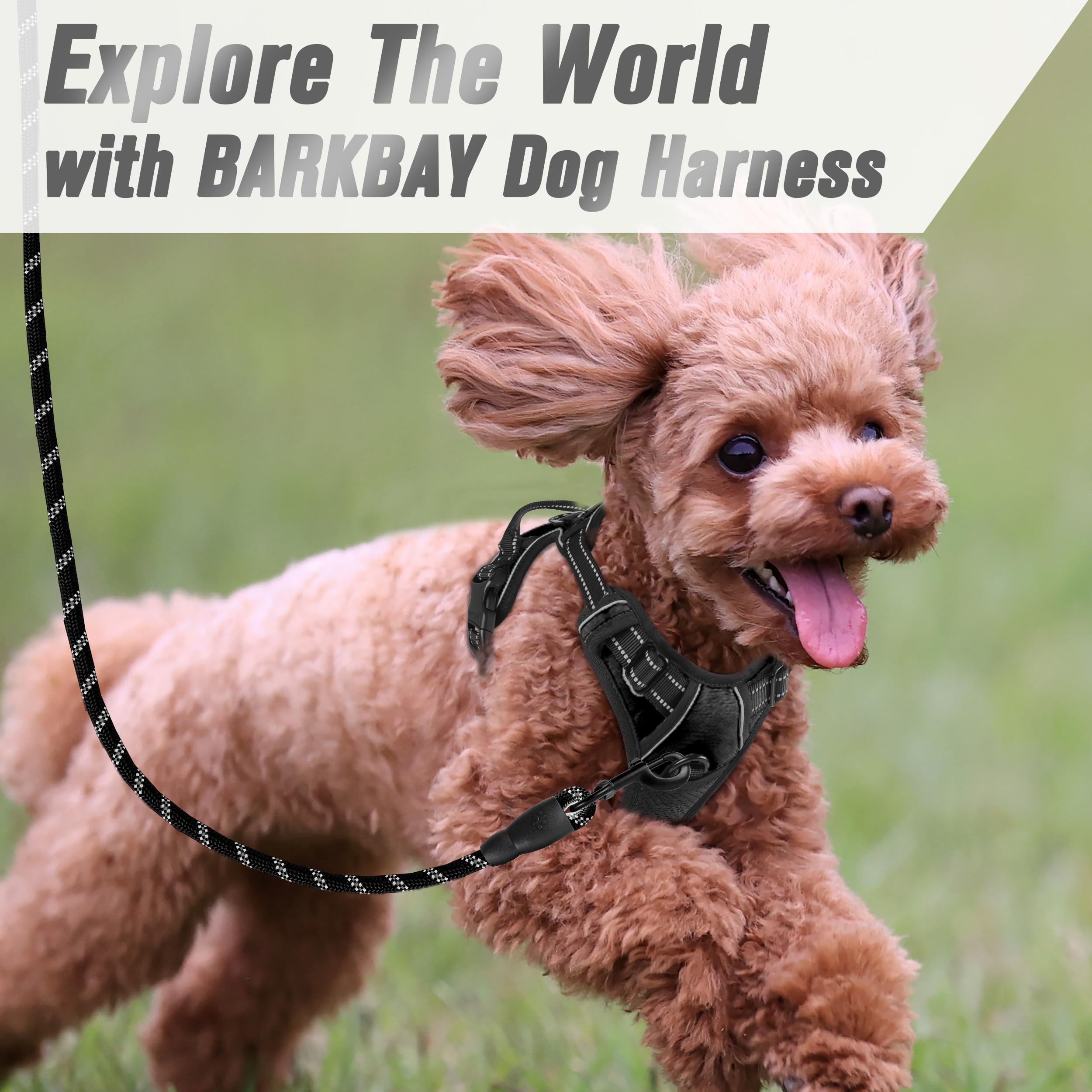 Diseño resistente BarkBay para paseos diarios en distintas condiciones.