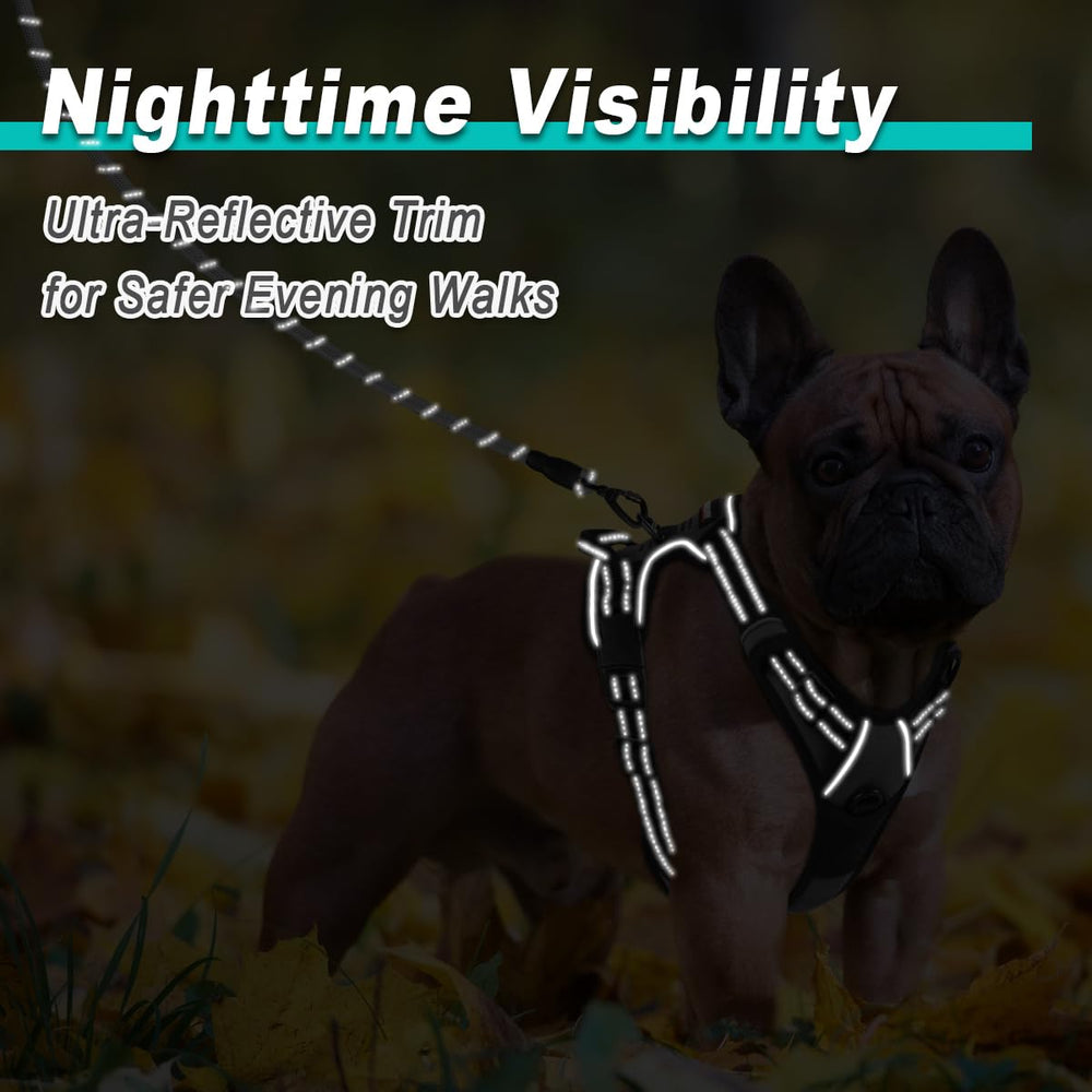 BARKBAY material durable para aventuras al aire libre con perros.