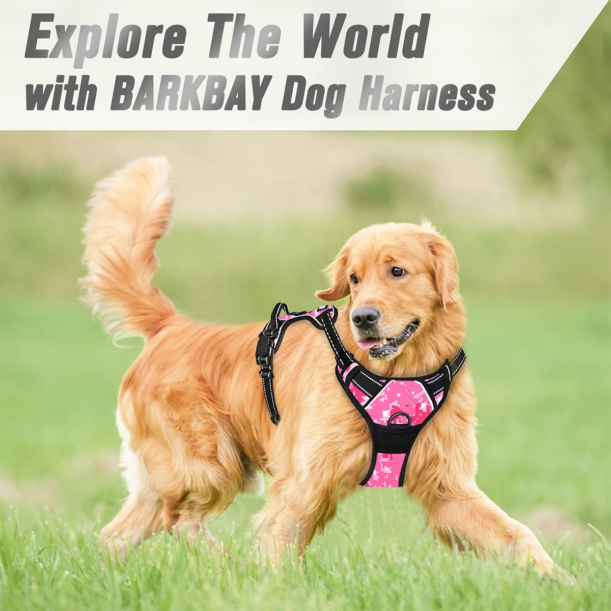 Fácil de poner y quitar BarkBay para uso diario