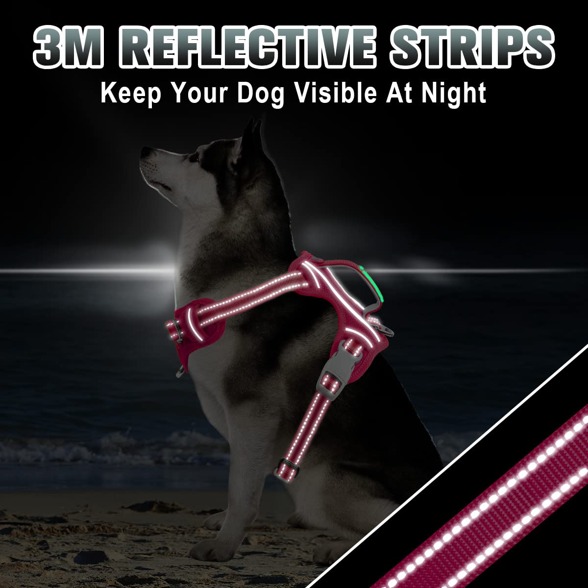 Cintas reflectivas de Barkbay para visibilidad nocturna.