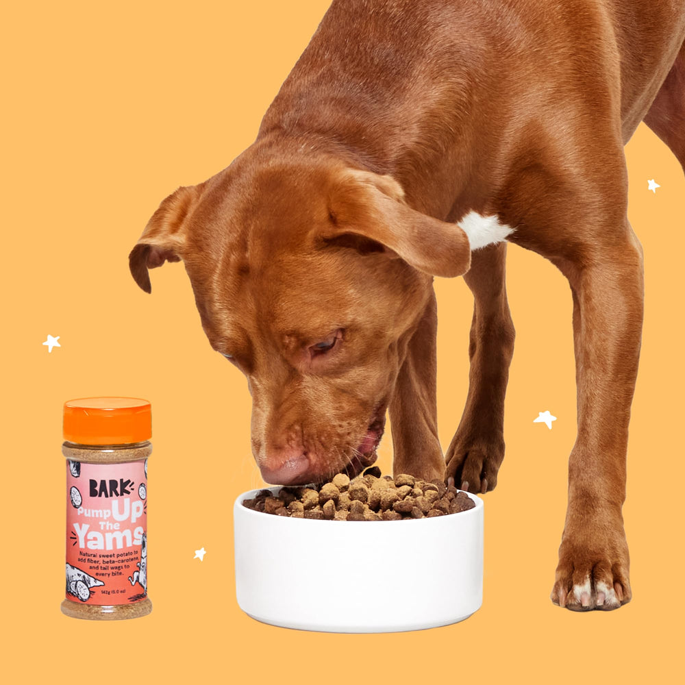 Barkbox aroma y textura que mejora la experiencia de comer.