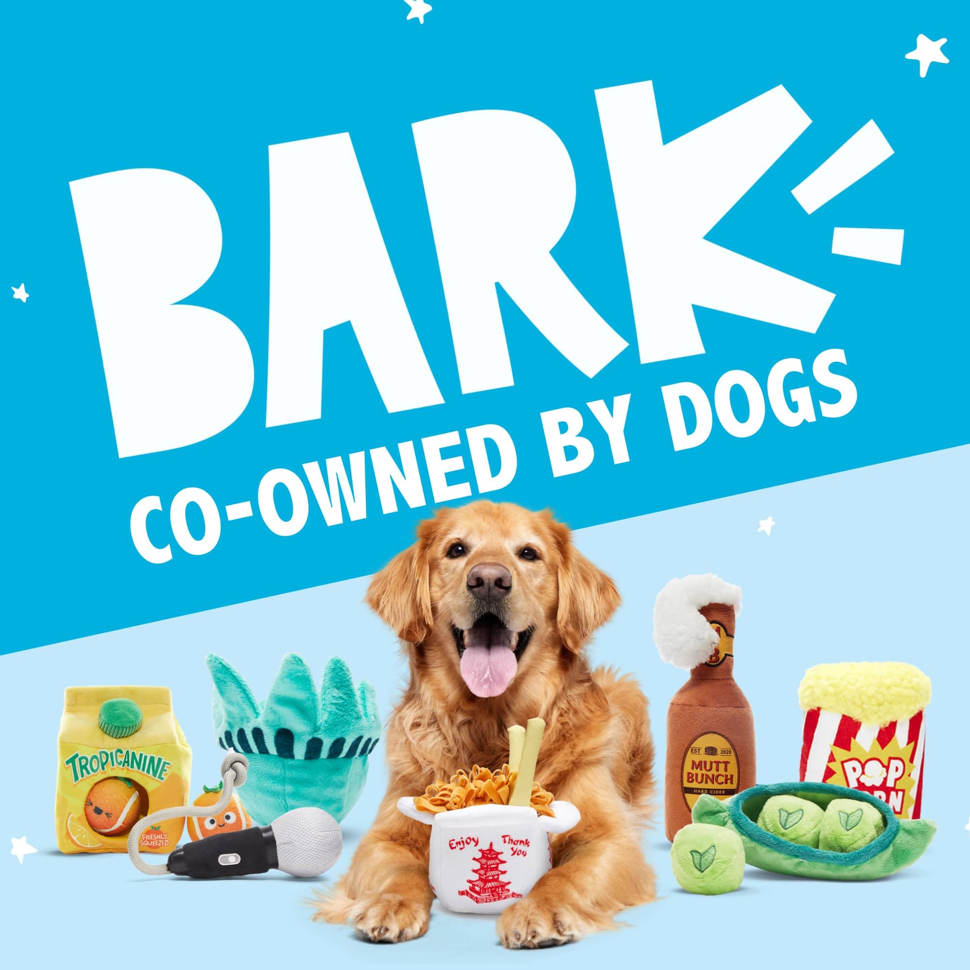 BarkBox Bao y Bab, diseño seguro y duradero para juegos interactivos prolongados.