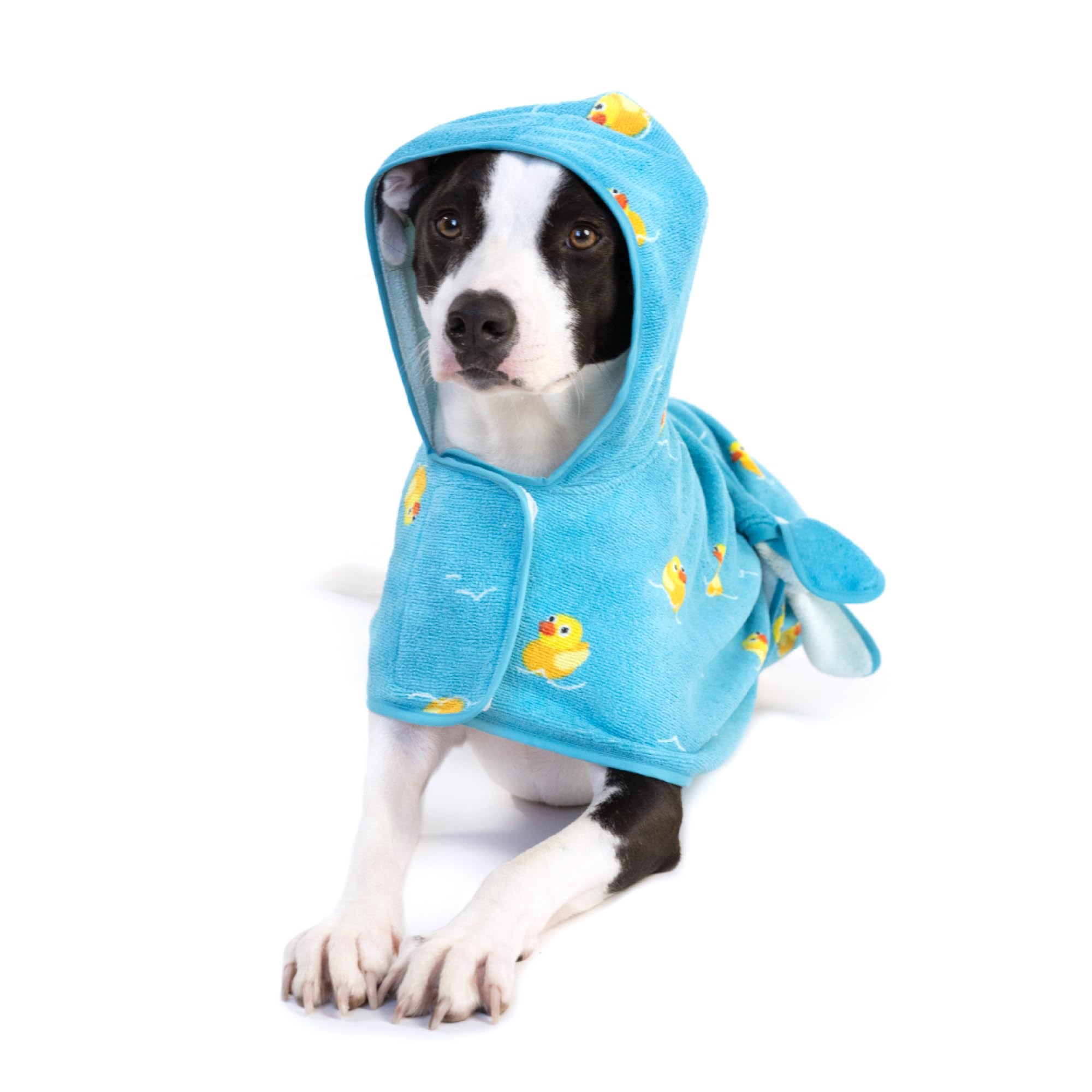 BarkBox bata-perro secado rapido para confort tras el baño.