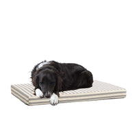 Cama ortopédica BarkBox en plataforma para perros con soporte articulaciones