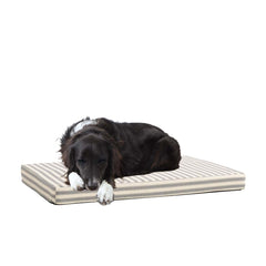 Cama ortopédica BarkBox en plataforma para perros con soporte articulaciones