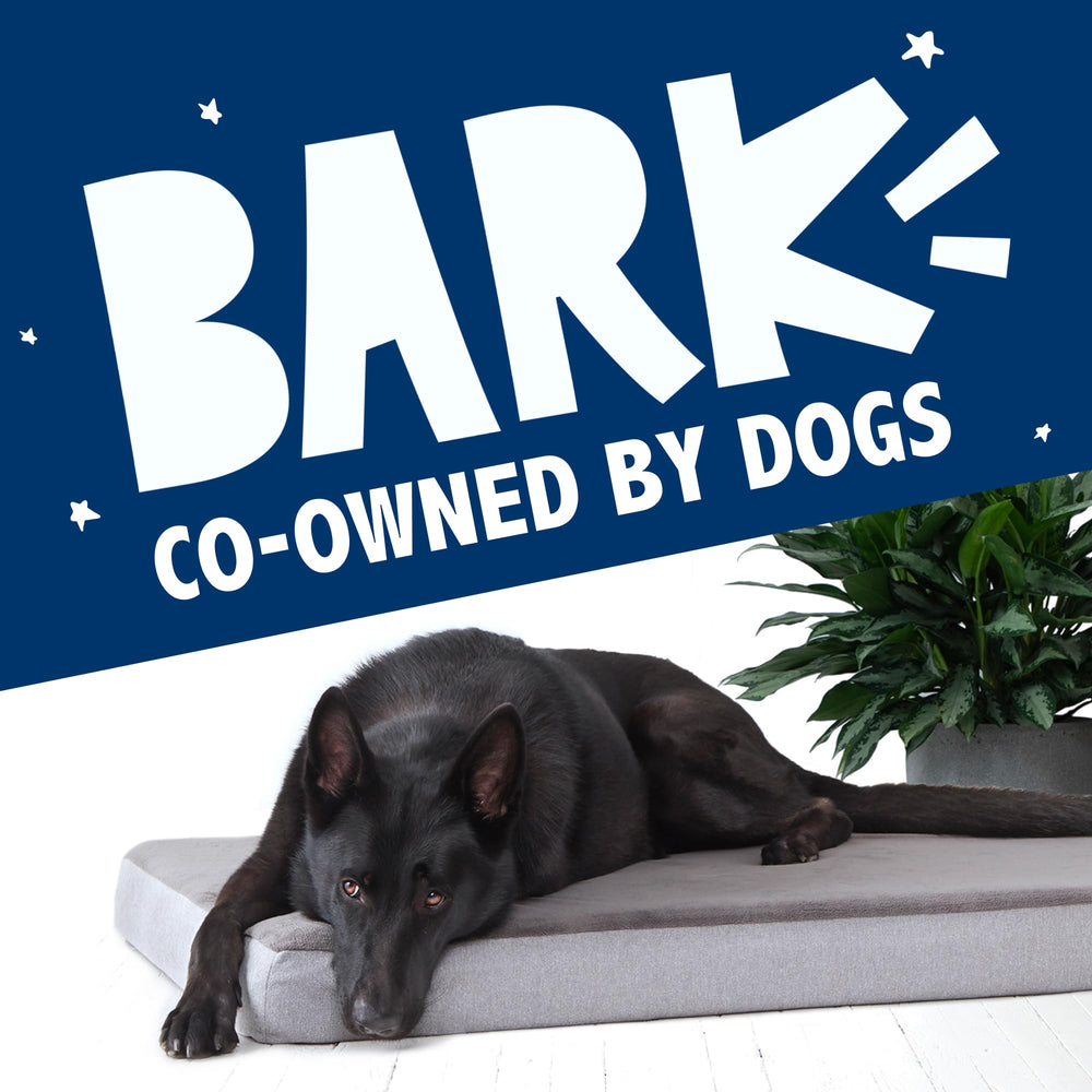 BarkBox duradera y cómoda, perfecta para uso diario de perros activos