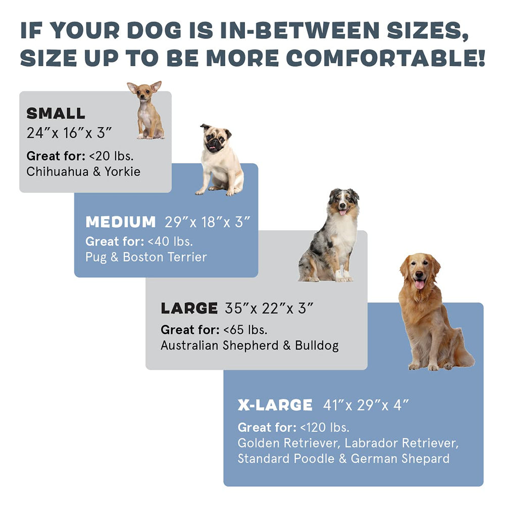 Diseño moderno de BarkBox ideal para facilitar el acceso