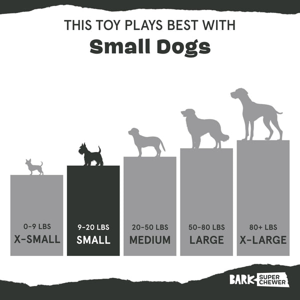 BarkBox Drop The Bass: diseñado para masticadores determinados y amantes de la mordida.