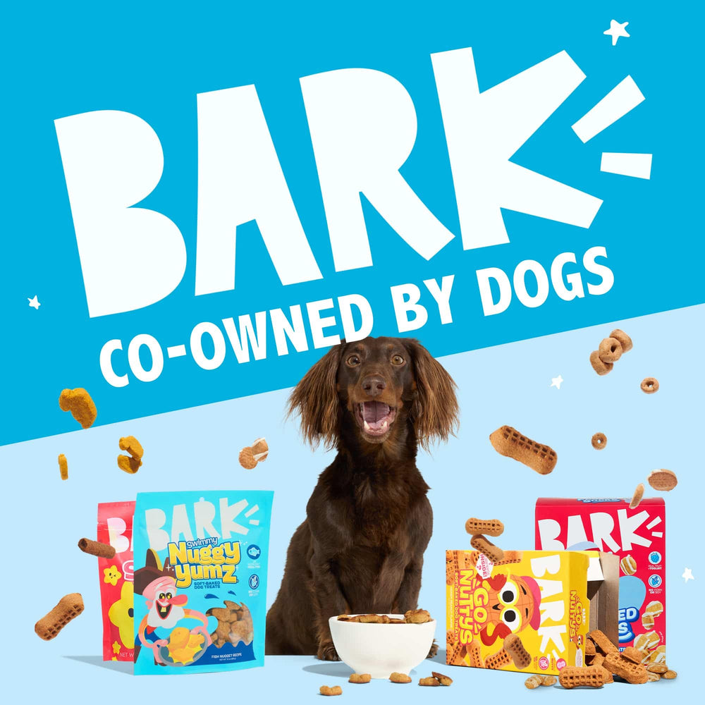BarkBox Frosted Socks envase de 24 onzas facilita la conservación.