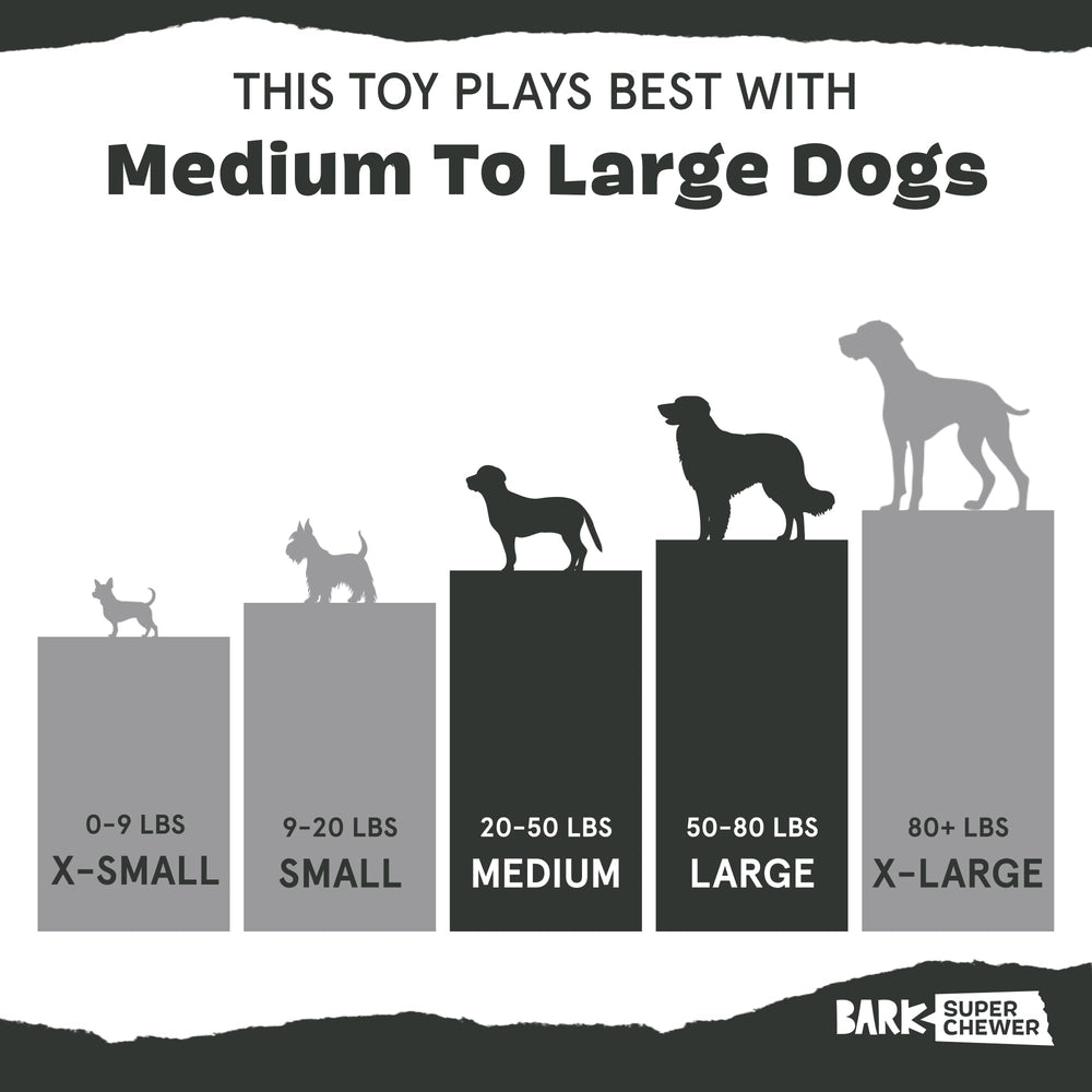 Barkbox Hare Raiser: juguete resistente adecuado para perros agresivos y masticadores decididos.