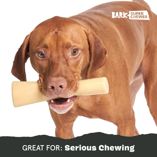 BarkBox Super Chewer: adecuado para cachorros y perros adultos.